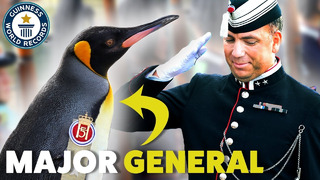 Meet Sir Nils Olav: The Army’s Penguin Officer – Guinness World Records
