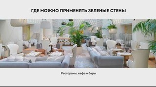 Fitomir-преимущества стабилизированных растений в оформлении интерьера