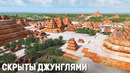 Почти 1000 поселений древних майя и обширную сеть дорог нашли в Гватемале