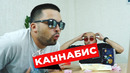 Когда разрешили культивирование каннабиса в промышленных целях