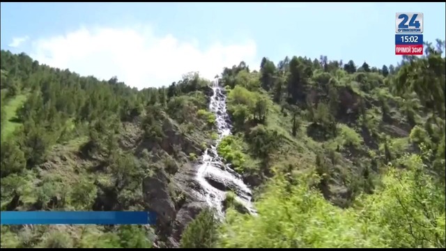 Uzbekistan 24 о проекте ФАО по мониторингу лесов