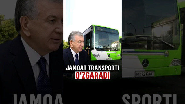 Shaharlarning og‘riqli muammosi: Jamoat transportiga nihoyat e’tibor qaratildi #uzbekistan #shorts