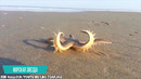 Настолько Необъяснимых Видео Вы Еще не Видели Топ 10