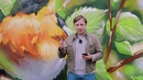 Опыт использования iPhone XS Max