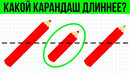 5 ВОПРОСОВ, Которые ПРОВЕРЯТ Твой ИНТЕЛЛЕКТ