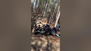 This trail ain’t big enough for the two of us