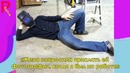 Крутые семьи, которые умеют пошутить