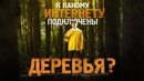 К какому интернету подключены деревья? — топлес