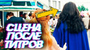 Чудо Женщина 1984 – кого показали в сцене после титров? | Сцена после титров – разбор