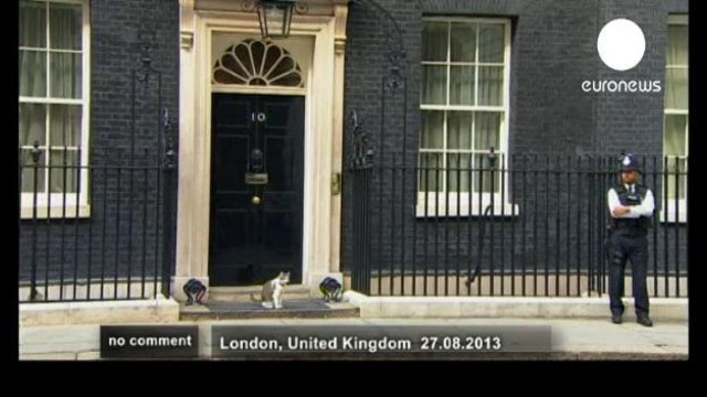 Ларри – кот премьер-министра Великобритании