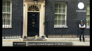 Ларри – кот премьер-министра Великобритании