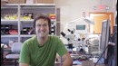 Первый работающий прототип Google Project Ara