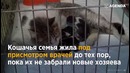 Очень трогательно