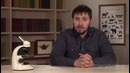 Биология – Классы кишечнополостных