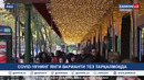 Бугунги кунда “омикрон”нинг янги – XBB.1.5 субварианти дунё бўйлаб тез суратларда тарқалмоқда