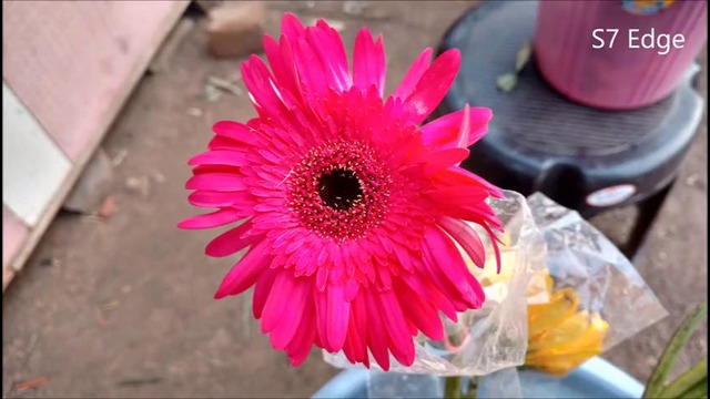 Xiaomi Mi Mix Vs Galaxy S7 Edge Camera Comparison