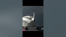 SpaceX Starship Успех! #spacex #spacexstarship #илонмаск