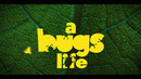 A Real Bug’s Life Season Two | Official Trailer | National Geographic