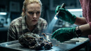 ЦИКЛ ЗВЕРЯ Русский трейлер 2 (4K Дубляж, 2026) Дебора Энн Уолл