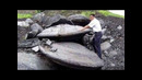 11 самых потрясающих археологических открытий