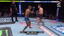 UFC 329: Люк Райли — Кай Камака (ПОЛНЫЙ БОЙ)
