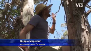 Австралийцы добровольно исследуют дикую природу Тасмании
