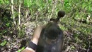 Раскопки оружия второй мировой войны
