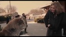 Хатико самый сильный момент