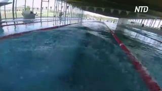Близнецы-пловчихи с умственным отклонением надеются завоевать золото на Специальной Олимпиаде