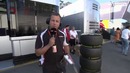 F1 2015 Italian GP Teds Race Notebook