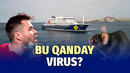 Kruiz laynerda tarqalgan xantavirus. Yo‘lovchilar sohilga tushirilmayapti