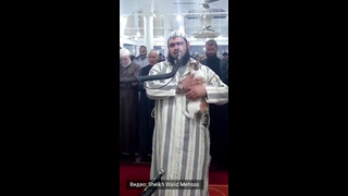 Кошка запрыгнула на имама во время молитвы
