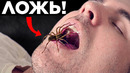 Эти Популярные Факты – Ложь