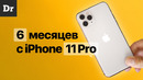 ПОЛГОДА с iPhone 11 Pro