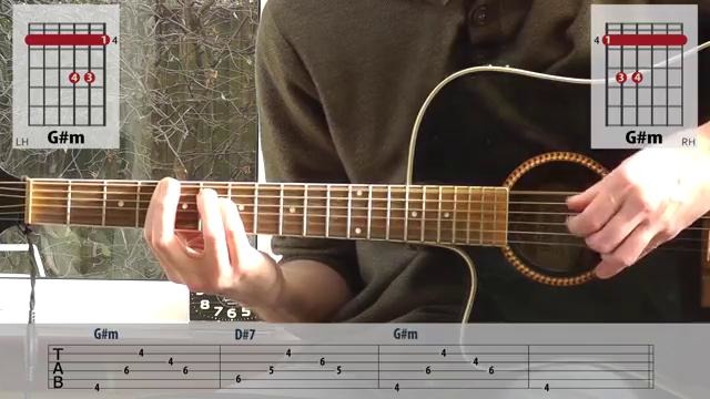 The Last Of Us – Through The Valley – guitar lesson with easy version