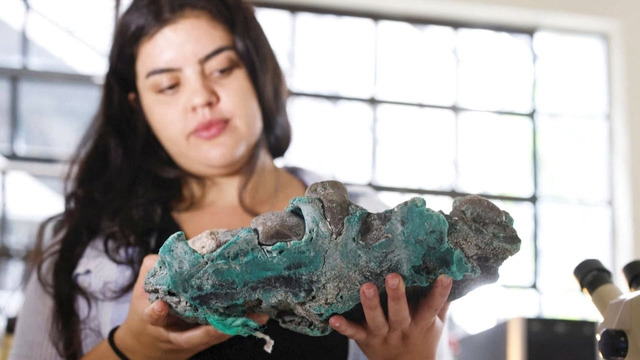 Камни с вкраплениями пластика нашли на отдалённом острове в Атлантике
