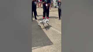This robo-pup’s stealing the show