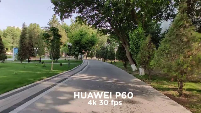 Huawei P60 yoki P60 Pro