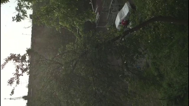 Ливень в ташкенте 25.04.16 в 17.35
