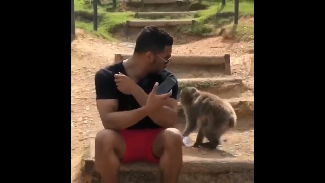 Прикол) Conor McGregor vs Kevin Lee