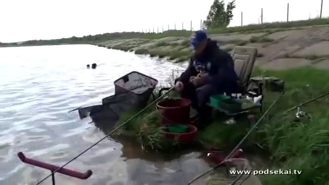 Ловля карпа весной на фидер Часть 1, Алексей Фадеев английская донка