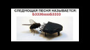 Лютые приколы. Следующая песня называется БЗЗЗЗЗБЗззззззз