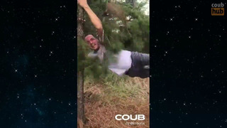 BEST COUB #30 Cube compilation by CoubHub