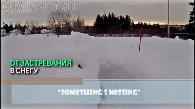 Канадец вырыл снежный лабиринт для собаки