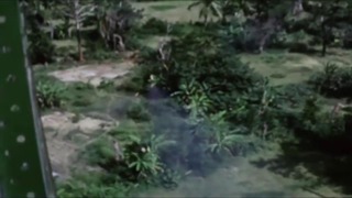 Creedence Clearwater Revival – Run Through The Jungle – Vietnam war
