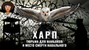 Тюрьма, из которой не выходят: «Полярная сова» | Где сидят маньяки и как отбывают пожизненный срок