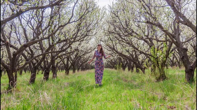 Spring walk with Alya