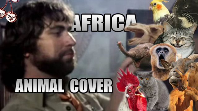 Toto – Africa (Animal Cover)