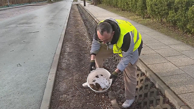 Лягушачий патруль: в Польше спасают амфибий от машин