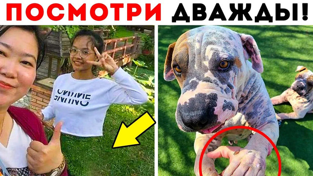 55 Лютых Иллюзий, Которые Обманут Ваш Мозг